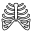 Chirurgia Toracica