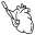 Cardiochirurgia