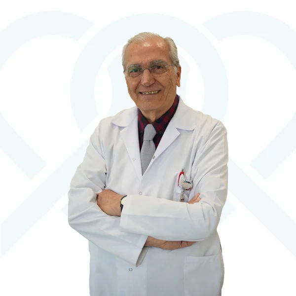 Prof. Dr. Hulusi Koçak
