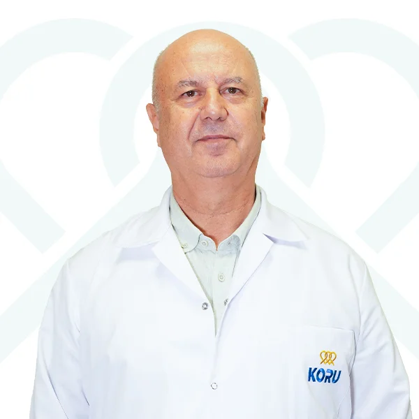Prof. Dr. Ali Akyol